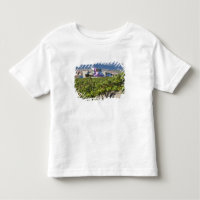 Elevated town view and Hotel Marques de Riscal