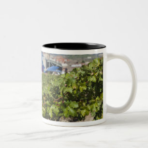 Elevated town view and Hotel Marques de Riscal Two-Tone Coffee Mug