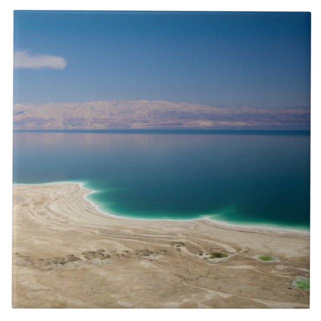 Elevated view of the Dead Sea Tile (Front)
