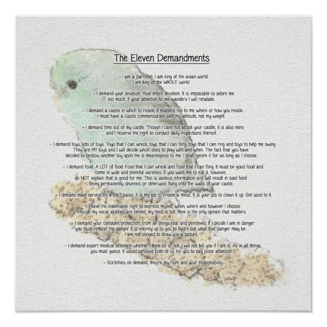 Eleven Demandments of Parrotlets Poster (Front)