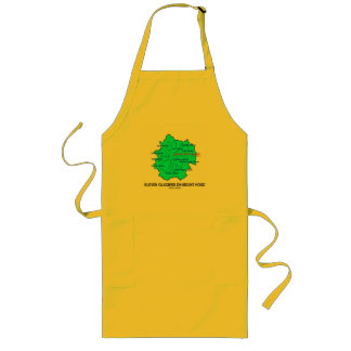 Eleven Glaciers On Mount Hood (Geology Map) Long Apron