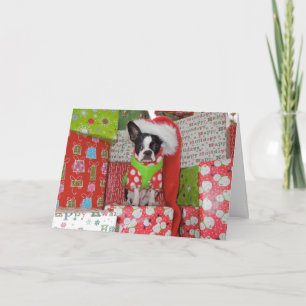Elf Boston Terrier Card