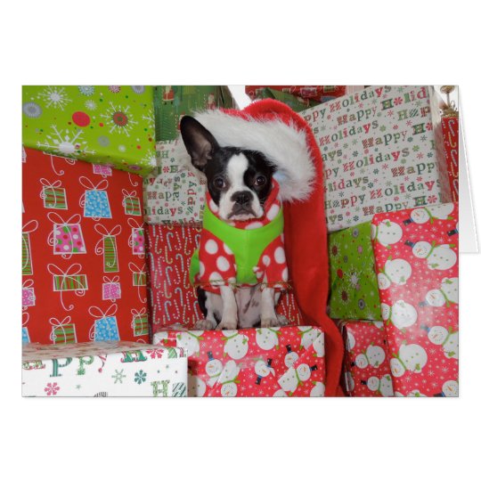 Elf Boston Terrier Card
