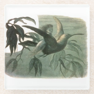 Elf Fairies Elves Moon Night Scene Bird Flying Glass Coaster