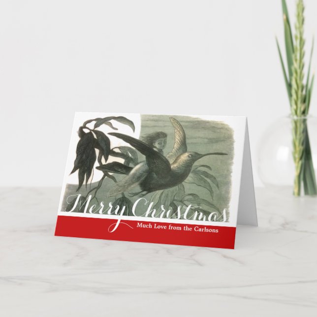 Elf Fairies Elves Moon Night Scene Bird Flying  Holiday Card (Front)