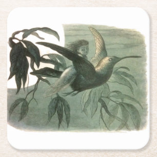 Elf Fairies Elves Moon Night Scene Bird Flying Square Paper Coaster