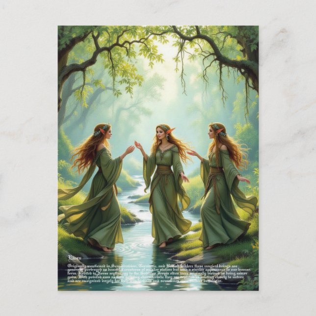 Elf Gathering  Postcard (Front)