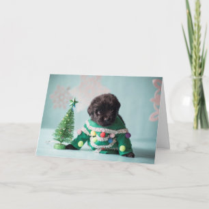 Elf Puppy Greeting Card