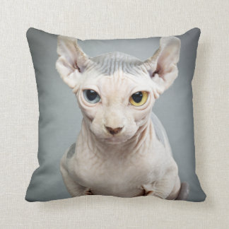 Elf Sphinx Cat Photograph Cushion
