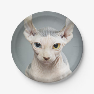 Elf Sphinx Cat Photograph Image Paper Plate