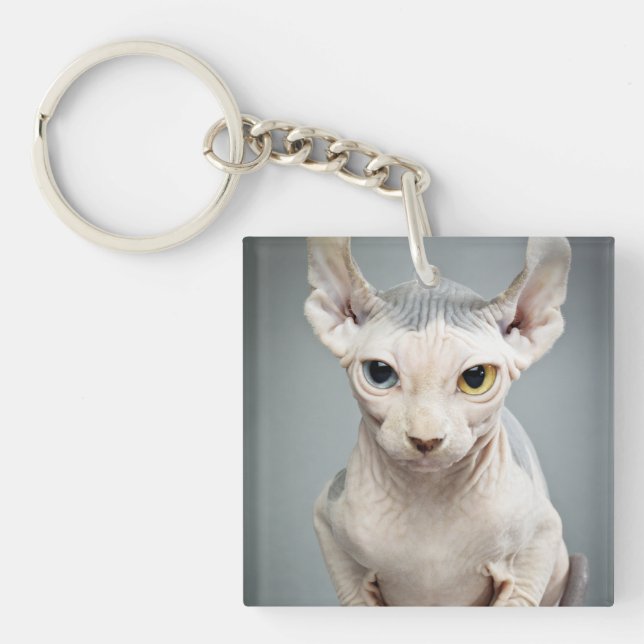 Elf Sphinx Cat Photograph Key Ring (Front)