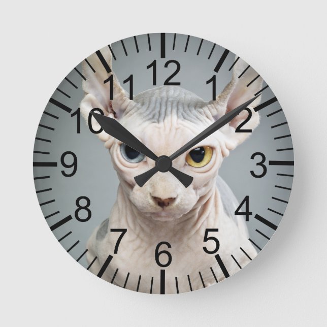 Elf Sphinx Cat Photograph Round Clock (Front)