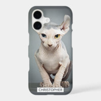 Elf Sphynx Cat Photograph | Add Your Name