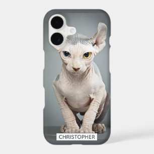 Elf Sphynx Cat Photograph Add Your Name