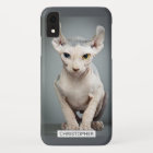 Elf Sphynx Cat Photograph | Add Your Name