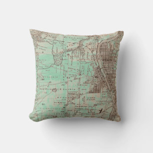 Elgin Illinois 1870 Plat Map Fox River Downtown Cushion