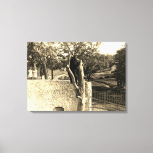 Elgin Illinois Lords Park 1890's Photograph Bear Canvas Print