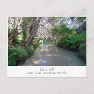 Eli Creek, Fraser Island, Australia - Postcard