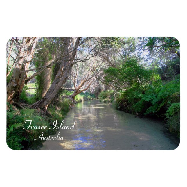 Eli Creek Fraser Island, Australia, Premium Magnet (Horizontal)