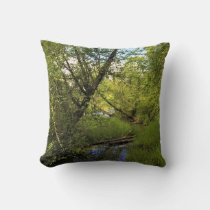 Elijah Bristow State Park, Dexter, Oregon Cushion