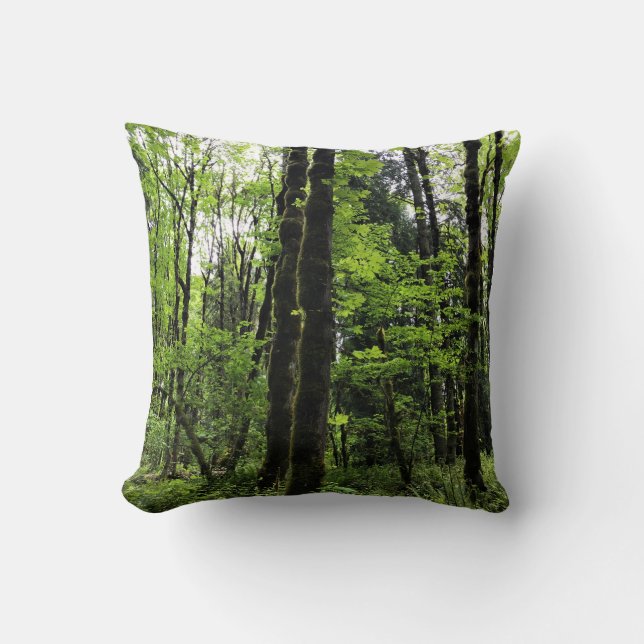Elijah Bristow State Park, Dexter, Oregon Cushion (Front)