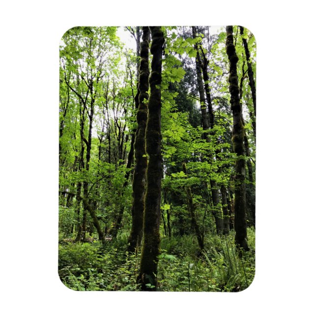 Elijah Bristow State Park, Dexter, Oregon Magnet (Vertical)