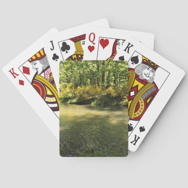 Elijah Bristow State Park, Dexter, Oregon Playing Cards (Back)