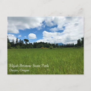 Elijah Bristow State Park, Dexter, Oregon Postcard