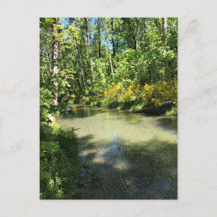Elijah Bristow State Park, Dexter, Oregon Postcard