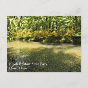 Elijah Bristow State Park, Dexter, Oregon Postcard