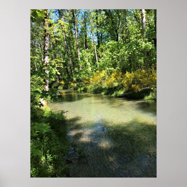 Elijah Bristow State Park, Dexter, Oregon Poster (Front)