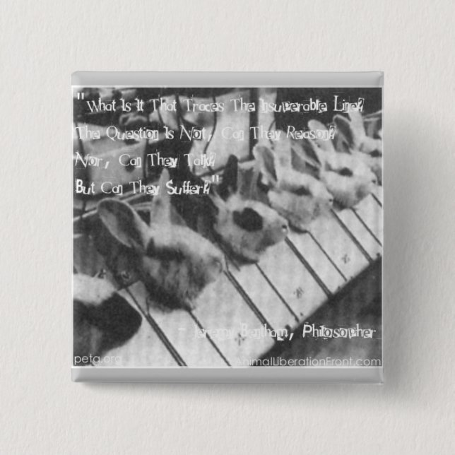 ELIMINATE VIVISECTIONS 15 CM SQUARE BADGE (Front)