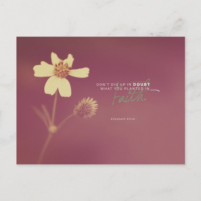 Elisabeth Elliot - Planted in Faith Postcard (Front)