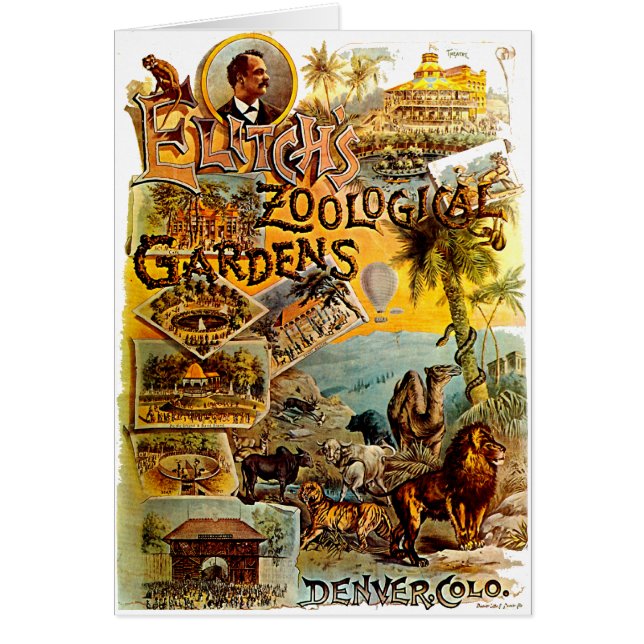 Elitch's Zoo - Card (Front)