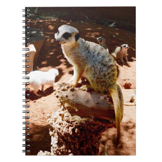 Eliza Queen Of The Meerkats, Notebook (Front)