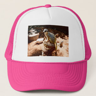 Eliza Queen Of The Meerkats, Truckers Hat