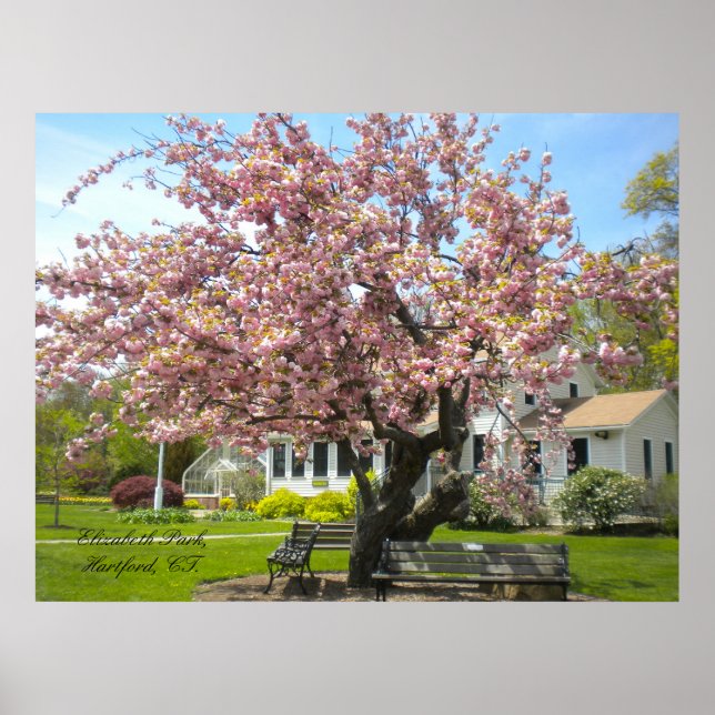 Elizabeth Park, Hartford, CT Poster (Front)