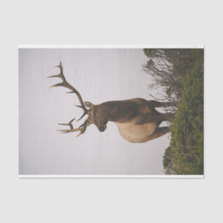 Elk 2 tissue paper