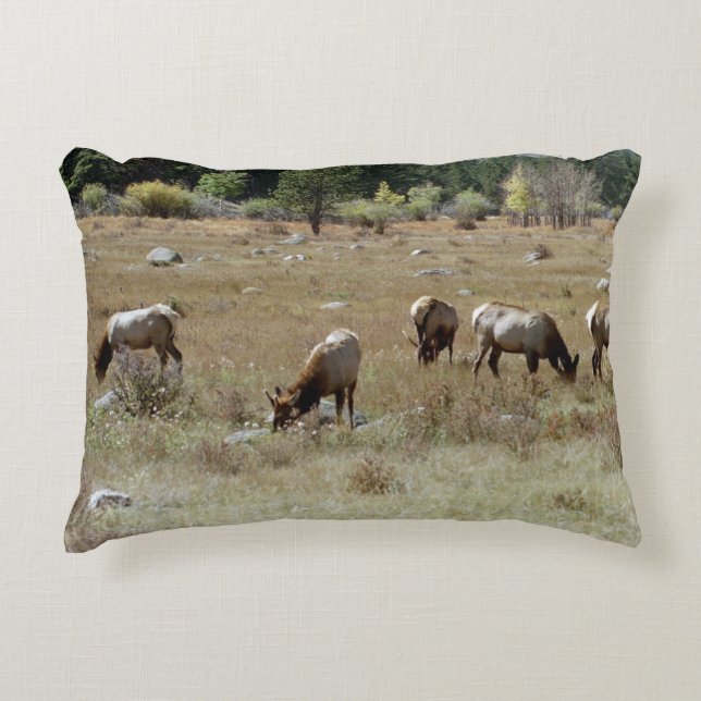 Elk accent pillow (Front)