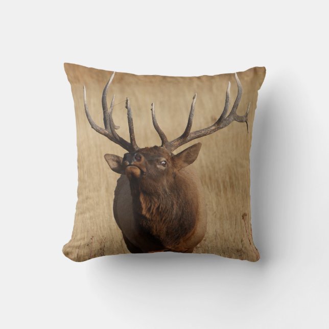 elk and eye bulging cushion (Front)