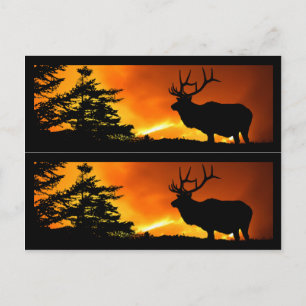 Elk and Forest Fire Book markers Postcard