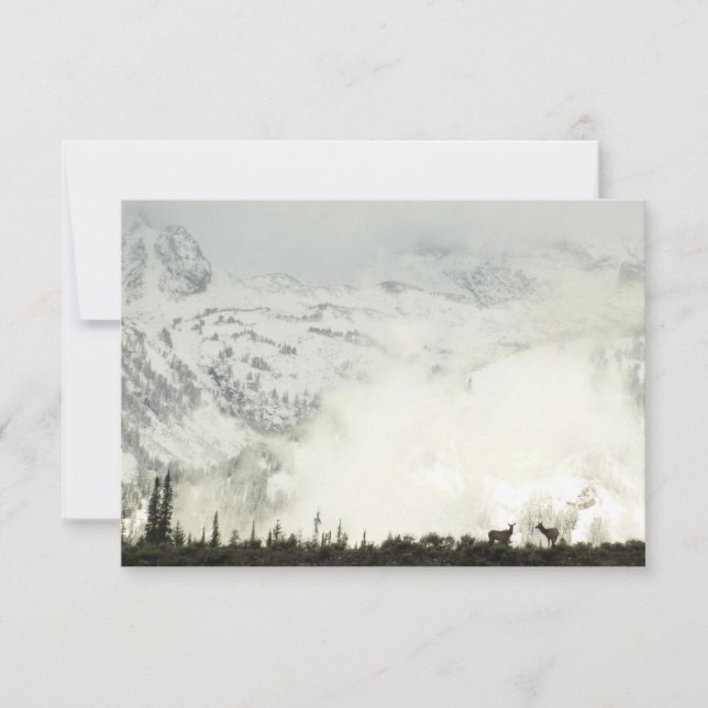 Elk at Grand Teton National Park Photography (Front)