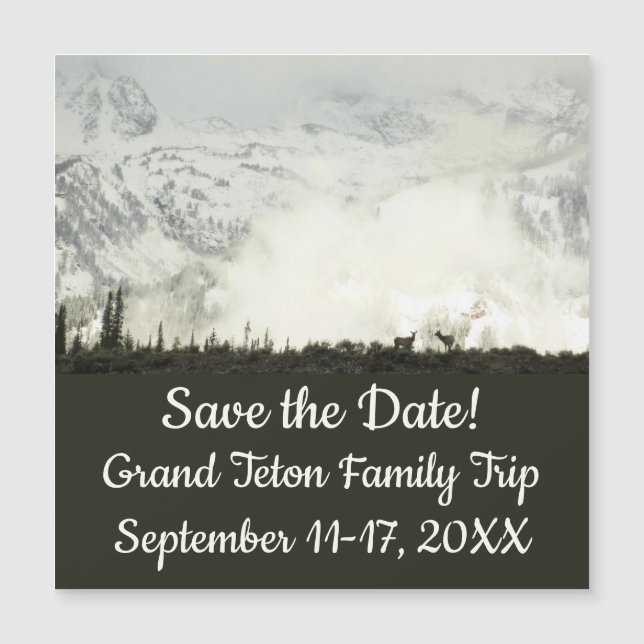 Elk at Grand Teton National Park Photography (Front)