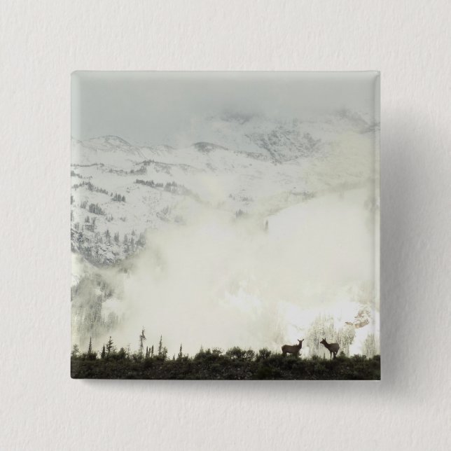 Elk at Grand Teton National Park Photography 15 Cm Square Badge (Front)