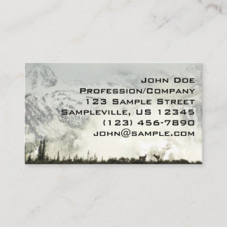 Elk at Grand Teton National Park Photography Business Card
