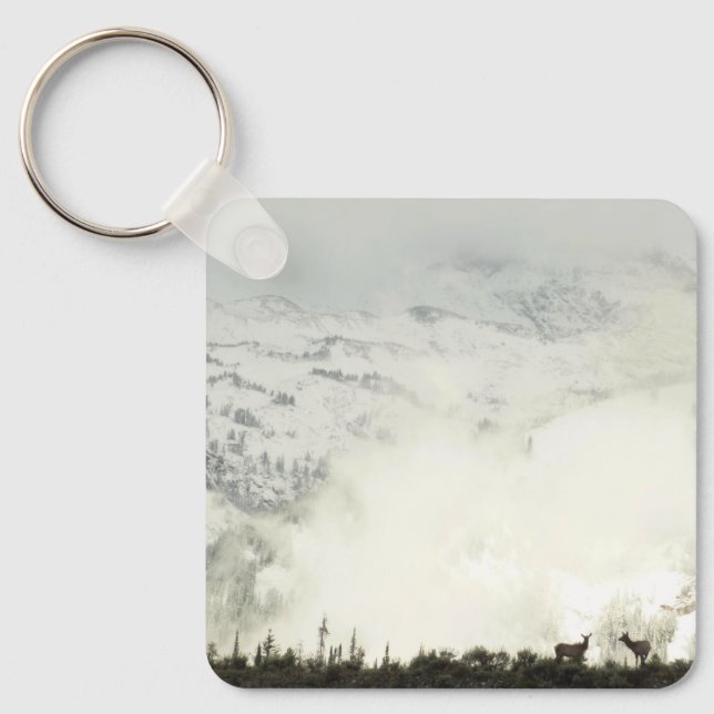 Elk at Grand Teton National Park Photography Key Ring (Front)