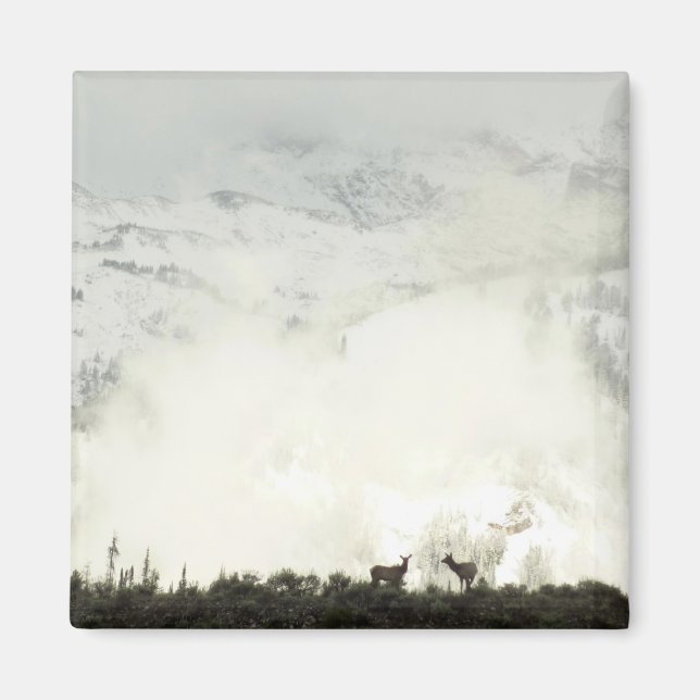 Elk at Grand Teton National Park Photography Magnet (Front)