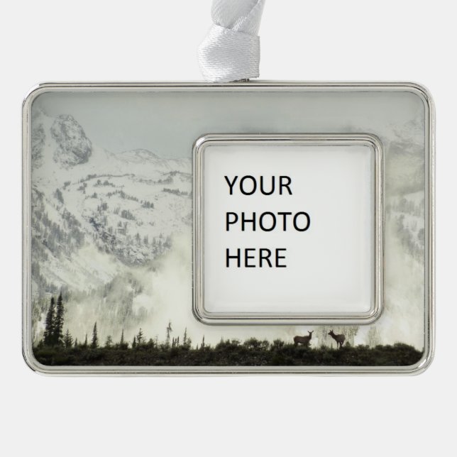 Elk at Grand Teton National Park Photography Silver Plated Framed Ornament (Front)