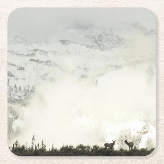 Elk at Grand Teton National Park Photography Square Paper Coaster (Front)