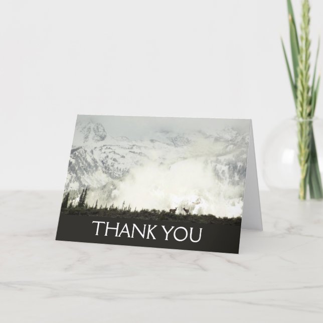 Elk at Grand Teton National Park Photography Thank You Card (Front)